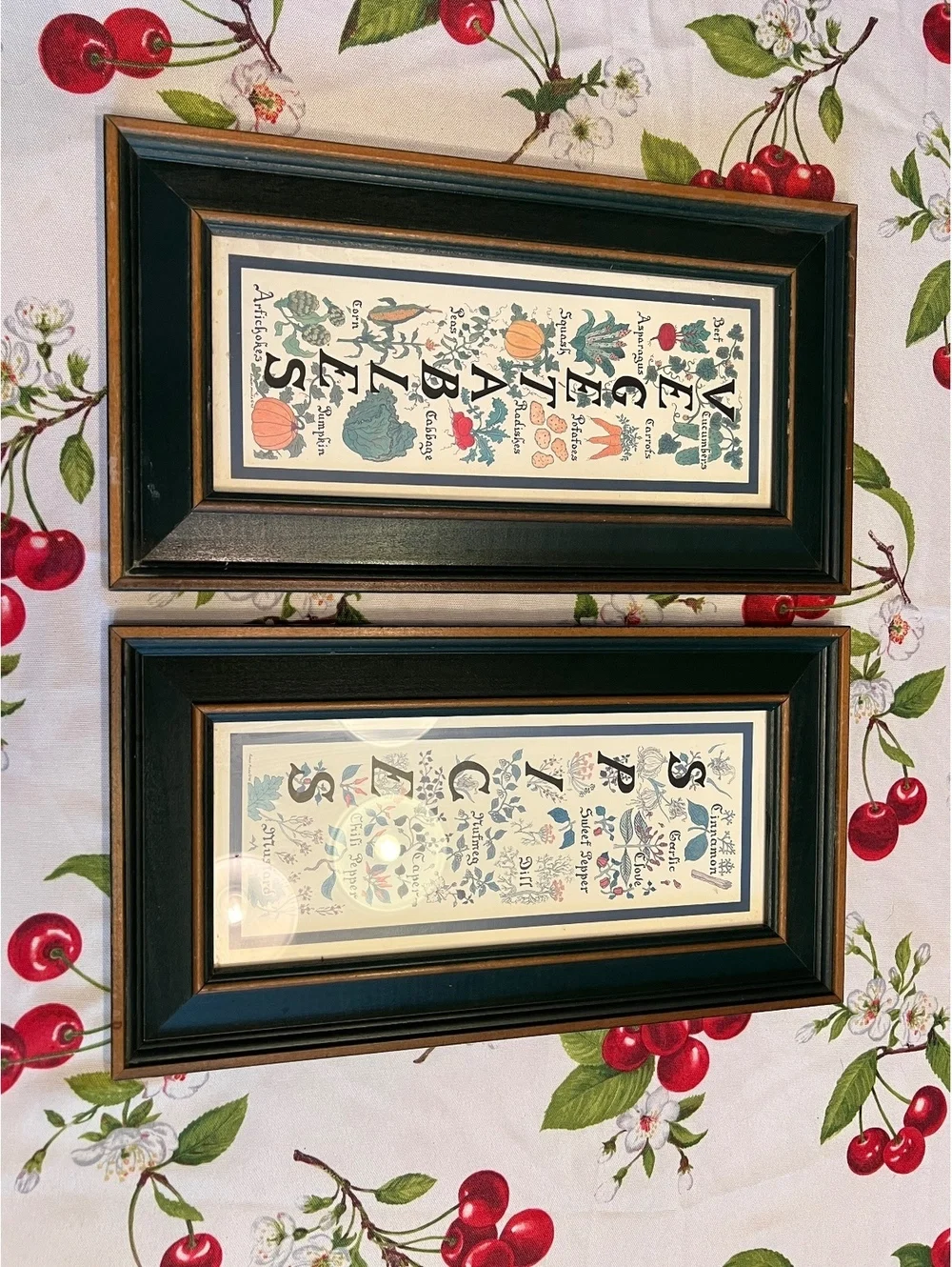 Vintage Framed Spices and Vegetables Botanical Prints Set of 2, 9x16.5 Inches